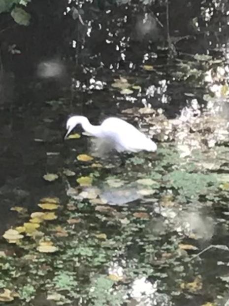 Reveil Aux Chants Des Oiseaux Asse-le-Riboul Ngoại thất bức ảnh